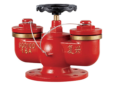 多用式水泵（bèng）接合器（qì） SQD100-1.6A