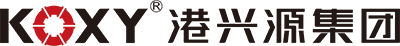 廣東港（gǎng）興源控股集團有限公司